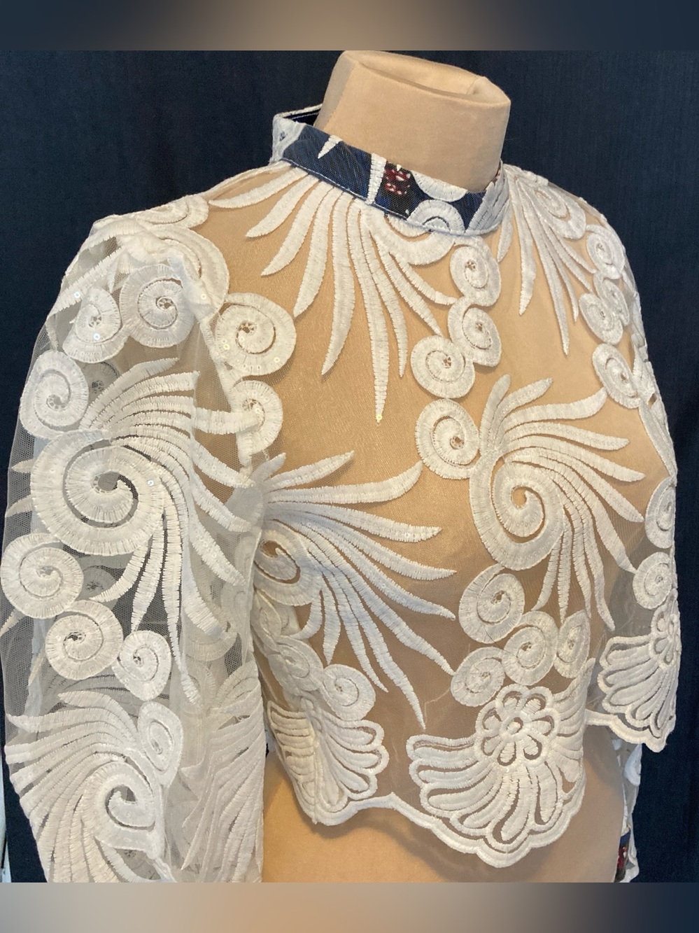 Sheer White Embroidered Lace Crop Top with Long Puff Sleeves Statement Piece